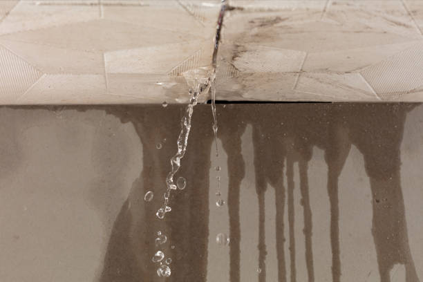 Professional Structural Drying technician working in Russellville, AL